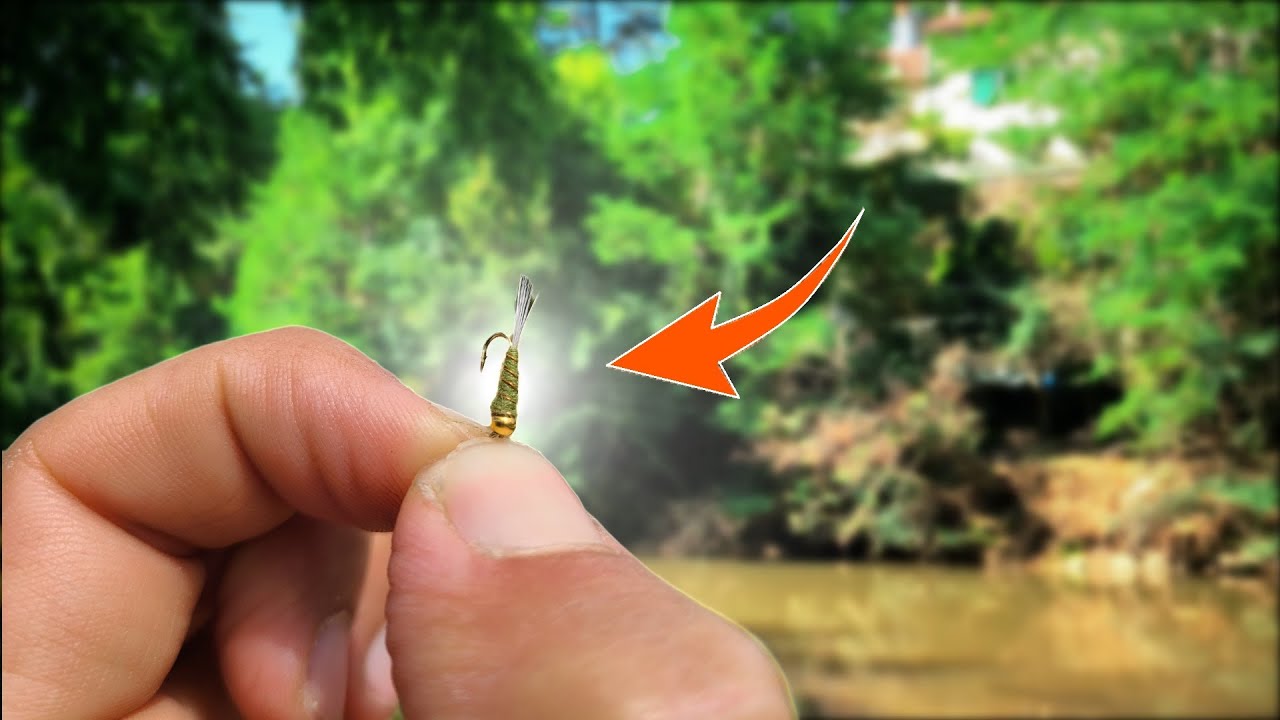 Je PECHE un GROS POISSON avec le LEURRE le plus PETIT du monde dans une — free download