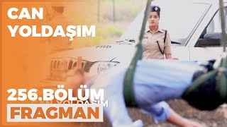 Can Yoldaşım 256. Bölüm Fragmanı - 12 Nisan Salı