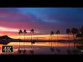 朝の静寂を感じる波の音で疲労回復・睡眠・リラックス｜４K映像 Peaceful Morning Ambience with Tranquil Ocean Sounds