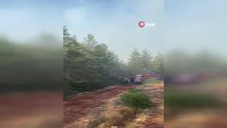 Kaş’taki Orman Yangını Havadan Ve Karadan Yoğun Müdahaleyle Söndürüldü