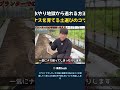 水やり地獄から逃れる方法 ナスを育てる土選びのコツ