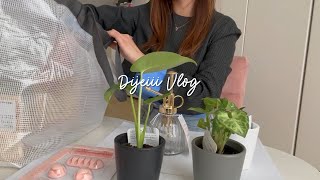 A day in my life | Living alone in Japan | Buying new plants | Going to the park |Japan VLOG