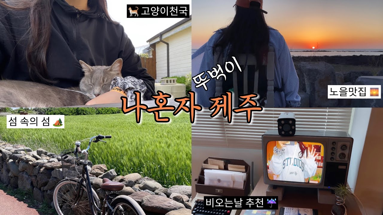 제주도 혼자여행🌴 뚜벅이의 서귀포 여행코스 • 고양이카페 캣월드, 가파도 자전거투어, 비오는날 갈만한곳, 노을맛집까지