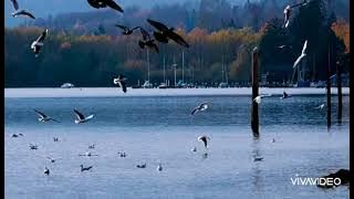 story wa I ve been away to loong George Baker album