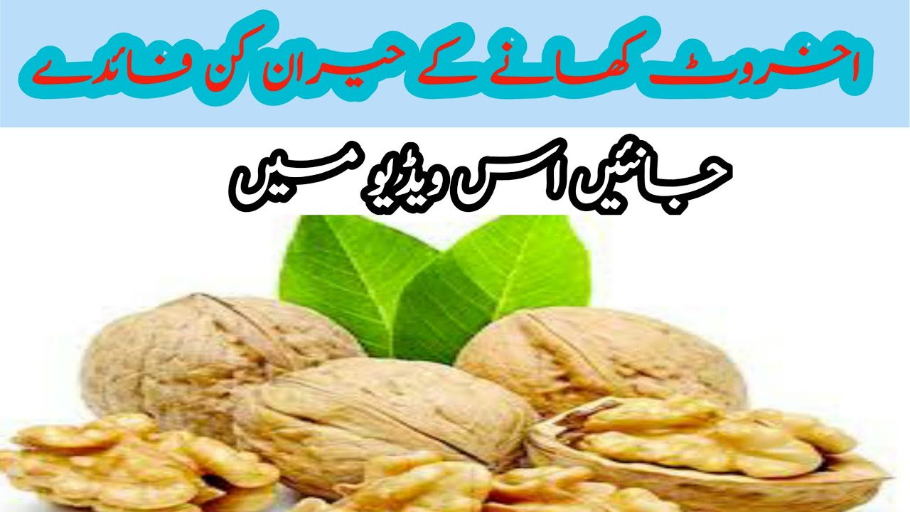 Walnut Health Benefits in Urdu Akhrot khane k Fayde Akhrot khane ka