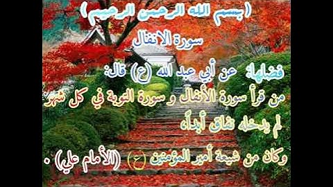 فضل سورة الأنفال❣💖