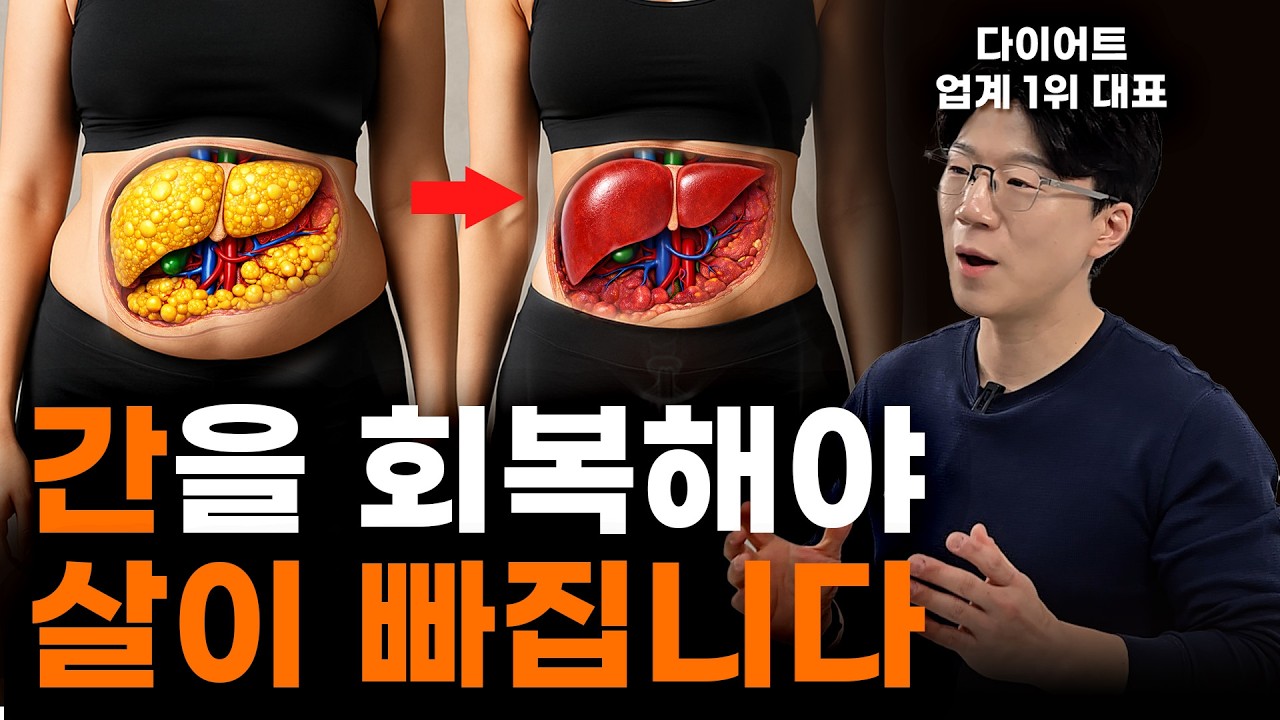간이 망가지면 다이어트는 멈춥니다. 간을 회복하고 다이어트에 성공하는 가장 완벽한 방법 l 식단, 운동, 생활습관