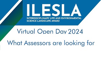 What Assessors are looking for