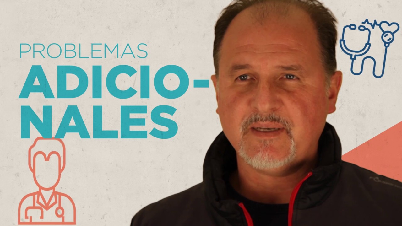 Si no como harinas adelgazo