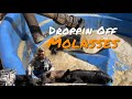 Droppin Off Molasses (Pig Hunt )