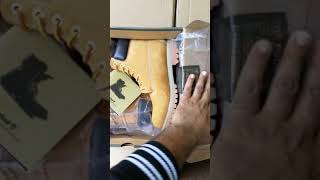 TIMBERLAND Men's 6-Inch Premium Waterproof Boots(1)