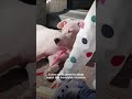 2 Year Old Girl Convinces Her Mom To Adopt A Deaf Puppy