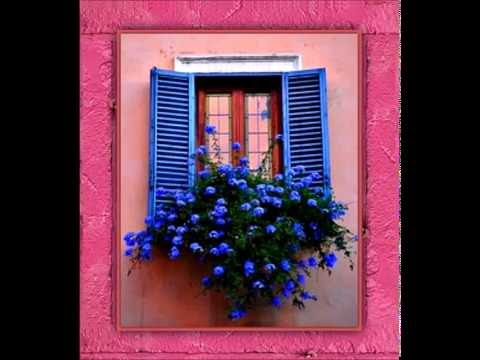 Video: Crocuses Në Një Tenxhere (38 Foto): çfarë Të Bëni Nëse Crocus është Ngrirë Në Ballkon? Rritja E Një Lule Shtëpie Në Shtëpi Në Një Mur Dritare. Çfarë Lloj Ndriçimi Duhet Të Jetë?