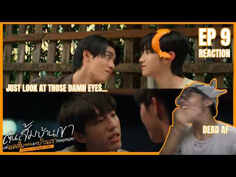 ต้นส้มอยู่บ้านเขา แต่ผลส้มหล่นมาบ้านเราตลอดเลย When Oranges Fall Ep 9 Reaction | NEW FAVE EP!!