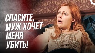 Сулейман, Не Напрягай Меня, Иначе Будет Плохо! | Хюррем Султан