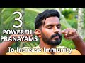 3 most powerfull pranayams increase immunity..ദിവസവും മുടങ്ങാതെ..