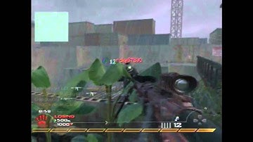 Dynamic SAiiNT || MW2 Montage #1