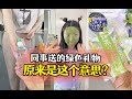 同事送的绿色礼物原来是这个意思！#剧情