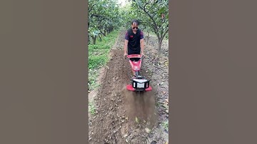 Save time, effort, and labor. A good helper for farmers. Suitable for greenhouse orchards.