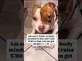 PLEASE DONT SCROLL WITHOUT DONATING ANY AMOUNT TO HELP 🙏DONATION LINK IN BIO