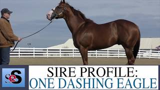 2018 QH Sire Profile: One Dashing Eagle