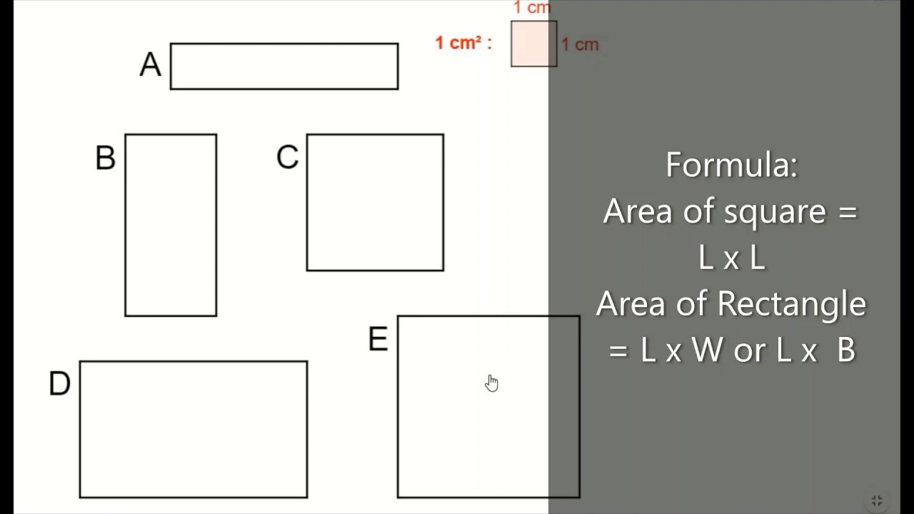 Understanding how to Determine the Area of a Square and Rectangle from