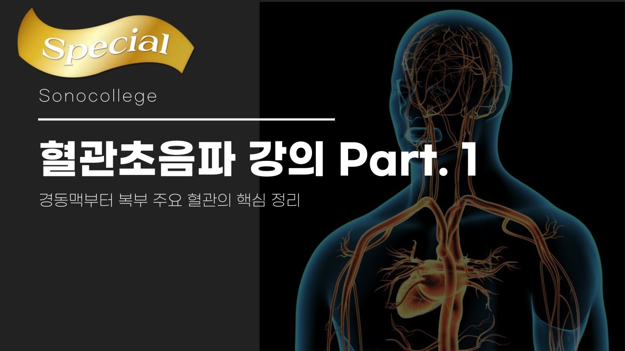 (신규강의) 혈관초음파 Part.1 강의 안내. - YouTube