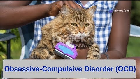 Obsessive Compulsive Disorder (OCD) in humans, animals #subscribe #veterinaryeducation #veterinarian
