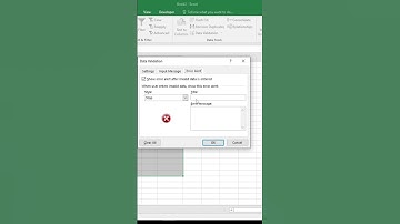 data validation in just 20 sec😱😱😱🔥#shorts #shortfeed  #excel #viral #viralshorts