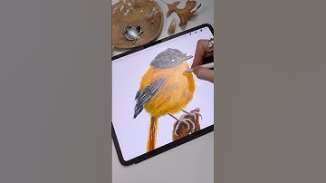 Drawing in Procreate - Digital Oil Pastels Bird #shorts #procreate #tutorial #drawing #digitalart