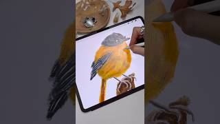 Drawing in Procreate - Digital Oil Pastels Bird #shorts #procreate #tutorial #drawing #digitalart