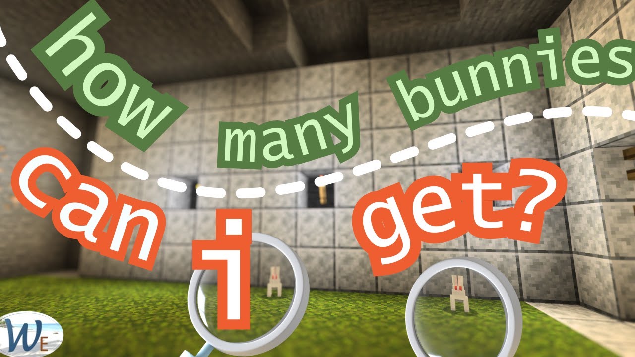 Creating a Bunny Farm in Minecraft (Live Gameplay) - YouTube