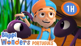 Formigas | Blippi Brasil | Desenhos Animados Educativos