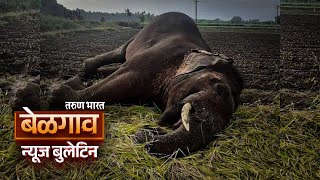 बेळगाव न्यूज बुलेटिन | Belgaum News Bulletin | 02-11-2025 screenshot 1