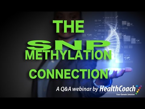 The Methylation/SNP Connection