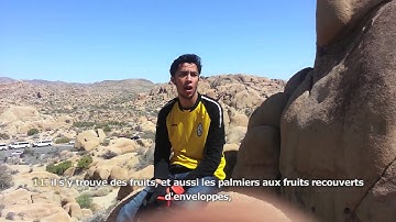 Sourate Ar-Rahman (1-18) - Youssef Edghouch  - سورة الرحمن -  يوسف المغربي