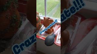 Crazy Chia update!!! #vintage #vintagefinds #chiapet #willitwork #experiment #fun #chiaseeds #1980s