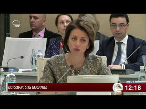 ეკატერინე ტიკარაძე მთავრობის სხდომაზე
