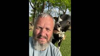 Abraham Licks