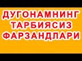 Dugonamning tarbiyasiz farzandlari | Дугонамнинг тарбиясиз фарзандлари