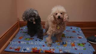 Autumn & Bitsy screenshot 3