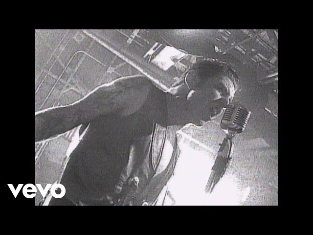 SOCIAL DISTORTION - BALL AND CHANGE