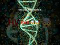 DNA:.....The Digital Code of God 🧬......#allah #shorts #shortvideo #reels #tranding  #viralworld