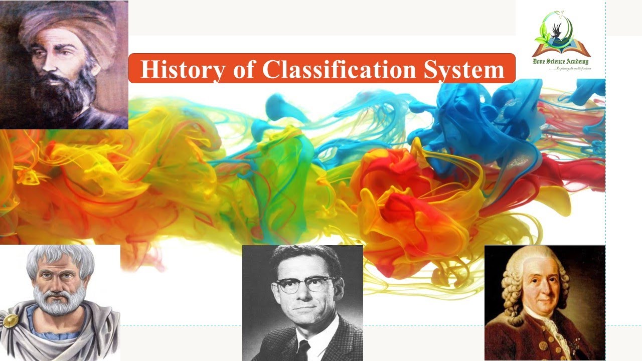 History of classification system - YouTube