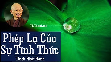 PHÉP LẠ CỦA SỰ TỈNH THỨC - THÍCH NHẤT HẠNH | Thực tập thiền quán trong đời sống hàng ngày