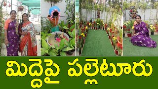 ఈ మిద్దె తోటలో కొత్తగా బోలెడన్ని ఐడియాలు | Garden Tour | Terrace Garden | Creations By Shobha | TTH