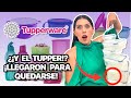 ¡La MENTE MAESTRA detrás del CATÁLOGO! ¿Por qué TUPPER tiene tanto ÉXITO en MÉXICO? |Caso TUPPERWARE