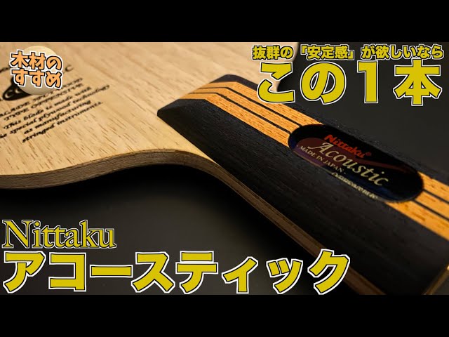 卓球】アコースティックは抜群の安定感が欲しい方にオススメの1本だっ