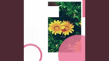 Vivacious Ambience for Lazy Days