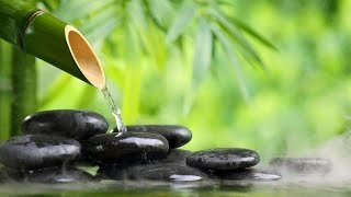 Musica Curativa & Sonidos De Agua 🍀🍀 Restaurar La Salud y Rejuvenecer El Cuerpo